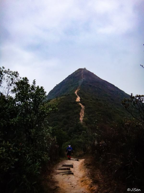 12768378_569869356512060_8322967885825398459_o