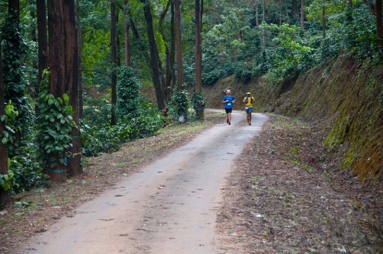 29922576324_af3e9347d5_o